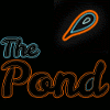Pond